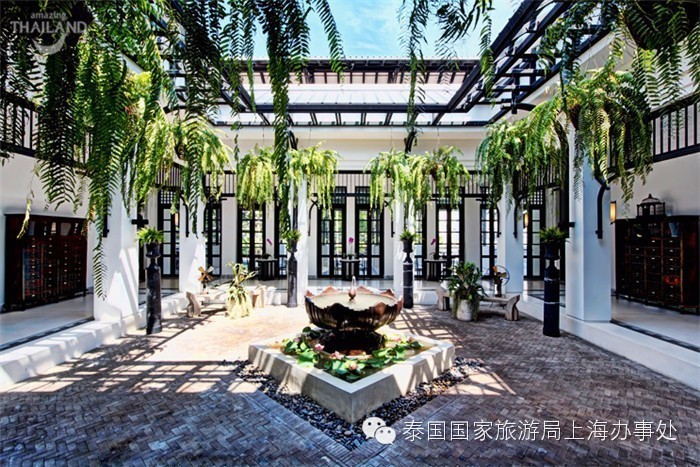 泰汇玩|这些酒店，为什么大家都喜欢？