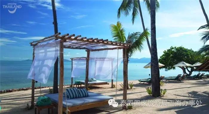 泰汇玩|这些酒店，为什么大家都喜欢？