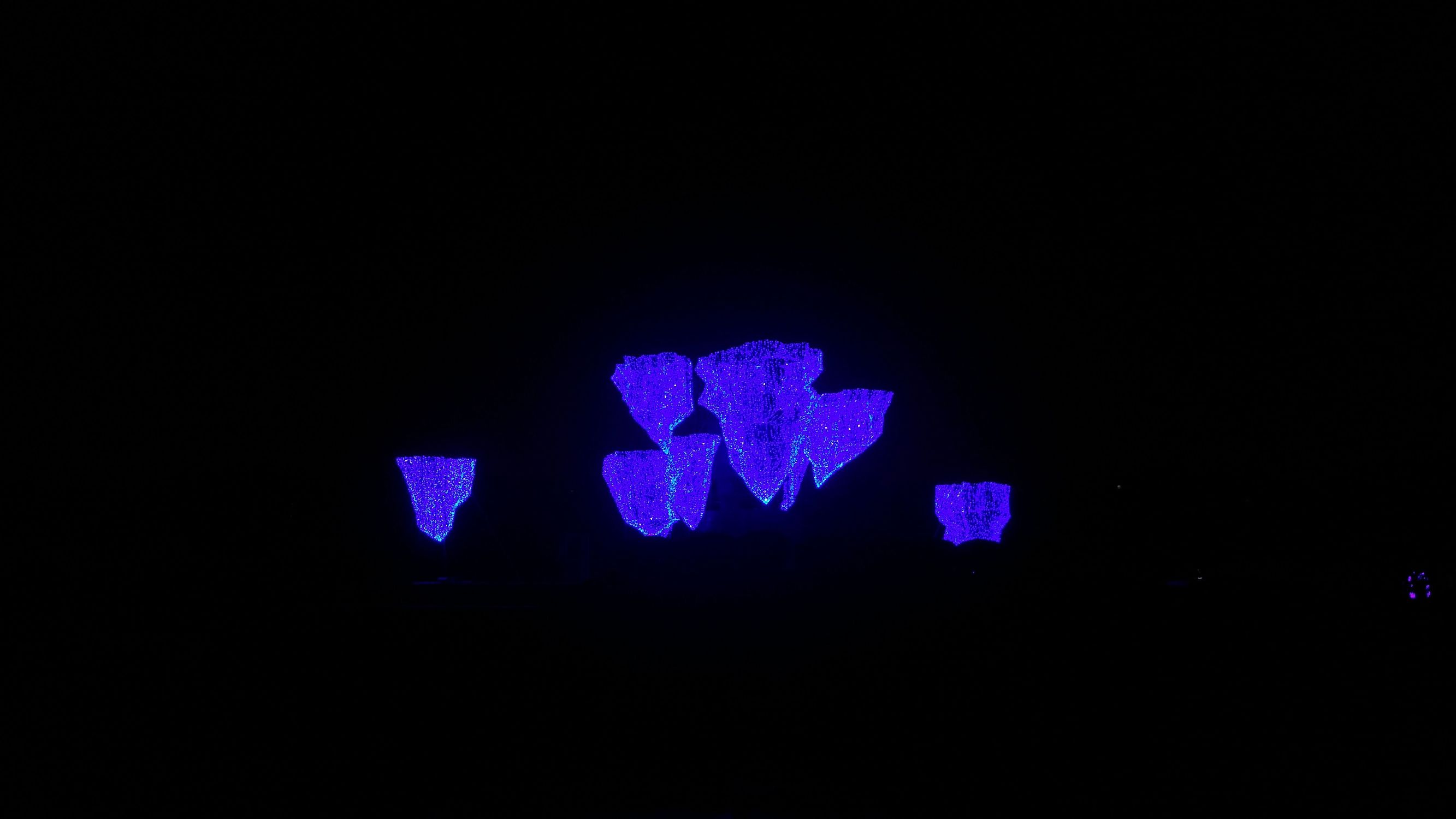 亿万星光点亮世纪欢乐园“奇幻之夜”光影盛宴