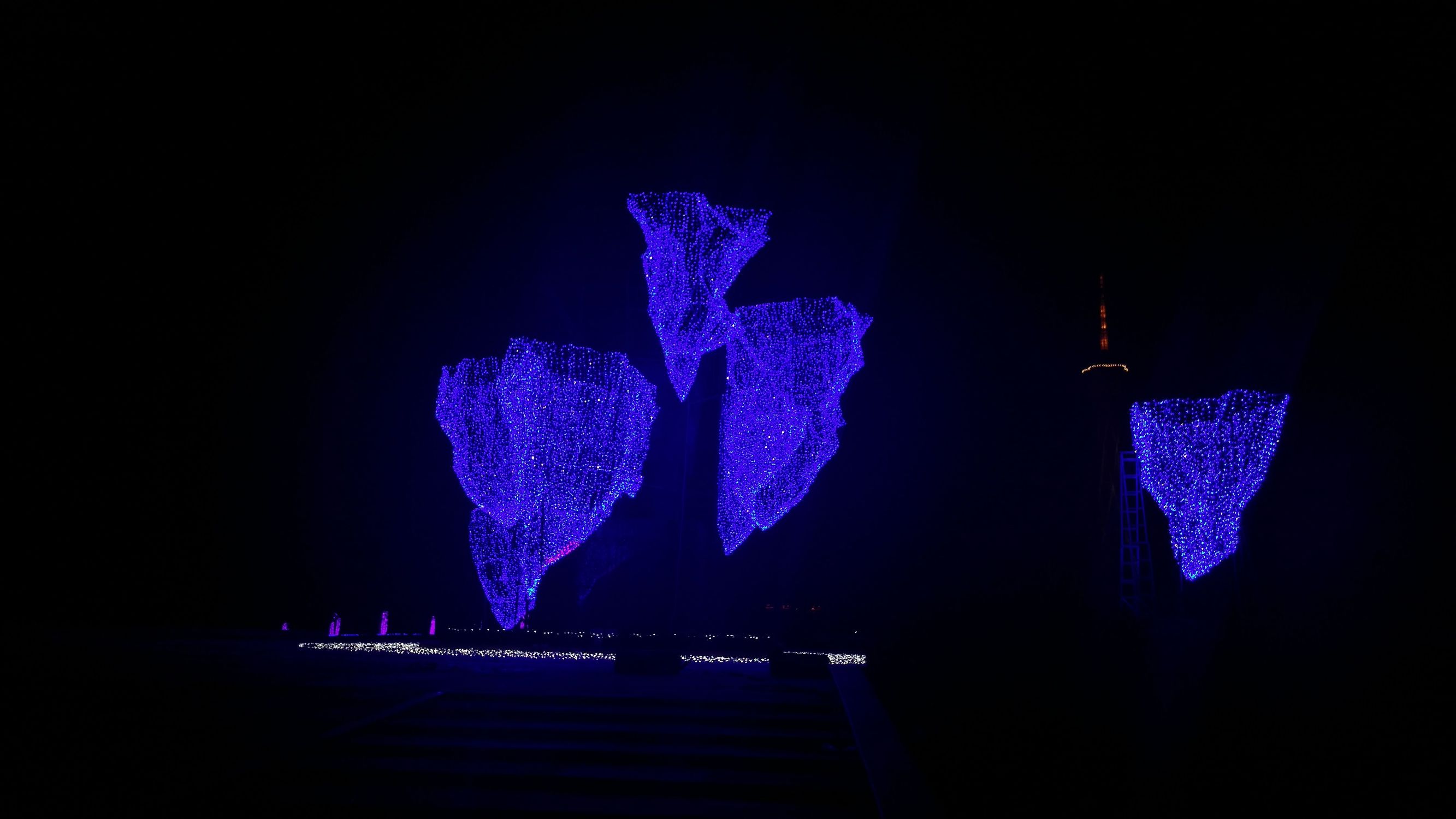 亿万星光点亮世纪欢乐园“奇幻之夜”光影盛宴