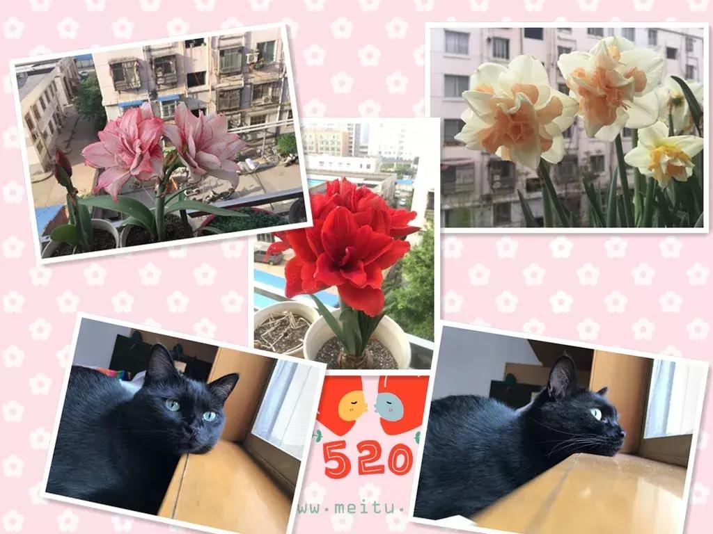 脚踏实地成功水到渠成——洛阳名门万象销售经理张宛如