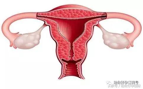 助好孕,助孕增加内膜厚度吃什么药
