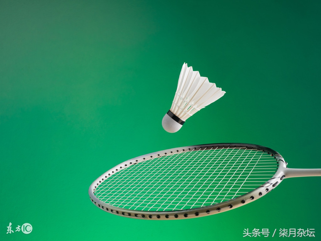 羽毛球运动教学与训练教程,羽毛球课动作展现