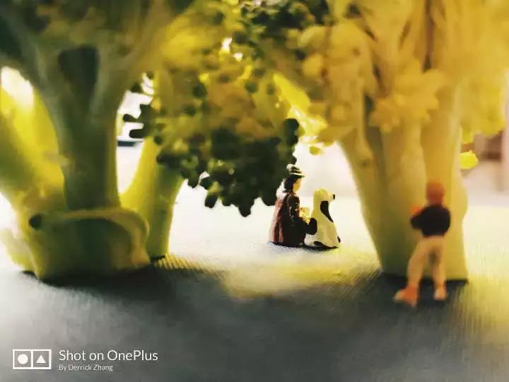 干货可以做不,干货主播好不好干