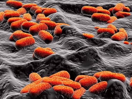 你的裤子穿几年了,内裤穿几年就该换了