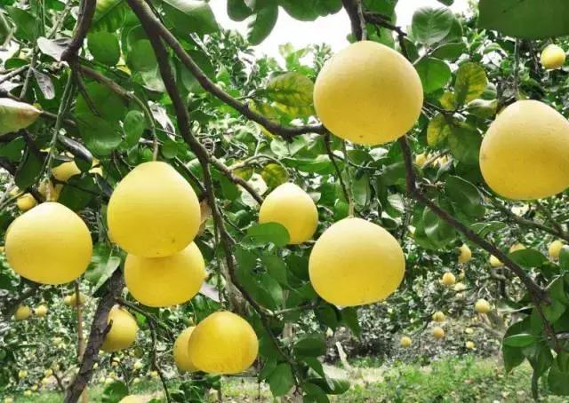 浙江适合旅居的地方,浙江宜居之地