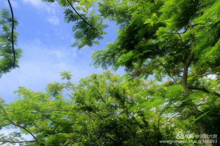 印度尼西亚巴厘岛印度教寺庙,巴厘岛最田园的热带风景