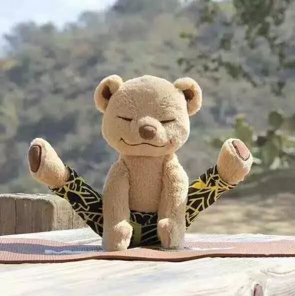 瑜伽生活简单清静,在家练瑜伽什么瑜伽比较好