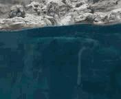 干货可以做不,干货主播好不好干