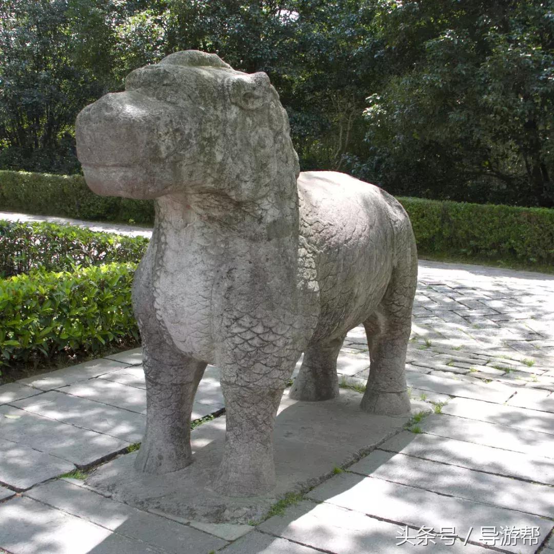 南京明孝陵600岁神道,南京明孝陵讲解视频完整版