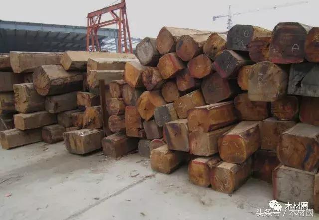 各国木材资源总量排名,各国木材市场现状