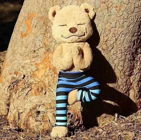 瑜伽生活简单清静,在家练瑜伽什么瑜伽比较好