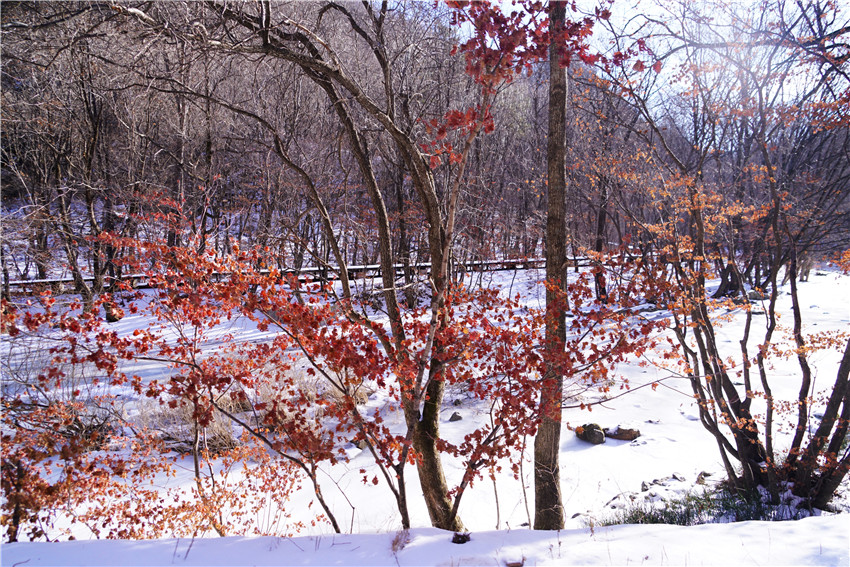 几月份去辽宁本溪最好,本溪冬天好玩的地方