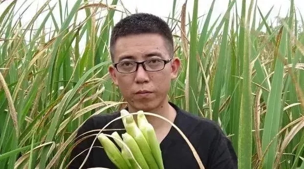 巧妇9妹今日头条视频收入多少,巧妇9妹福袋