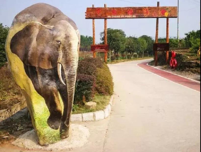 每逢佳节喜事多,每逢佳节喜事倍增