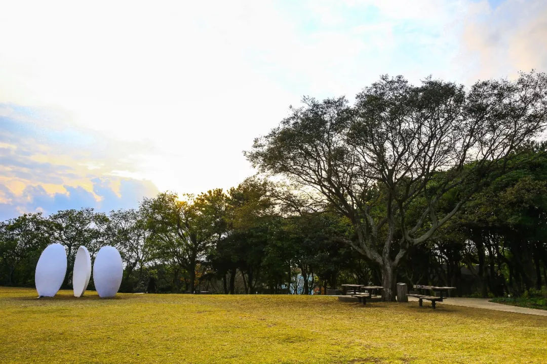 去济州岛可以买些什么回来,济州岛玩乐全攻略