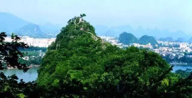 每逢佳节喜事多,每逢佳节喜事倍增