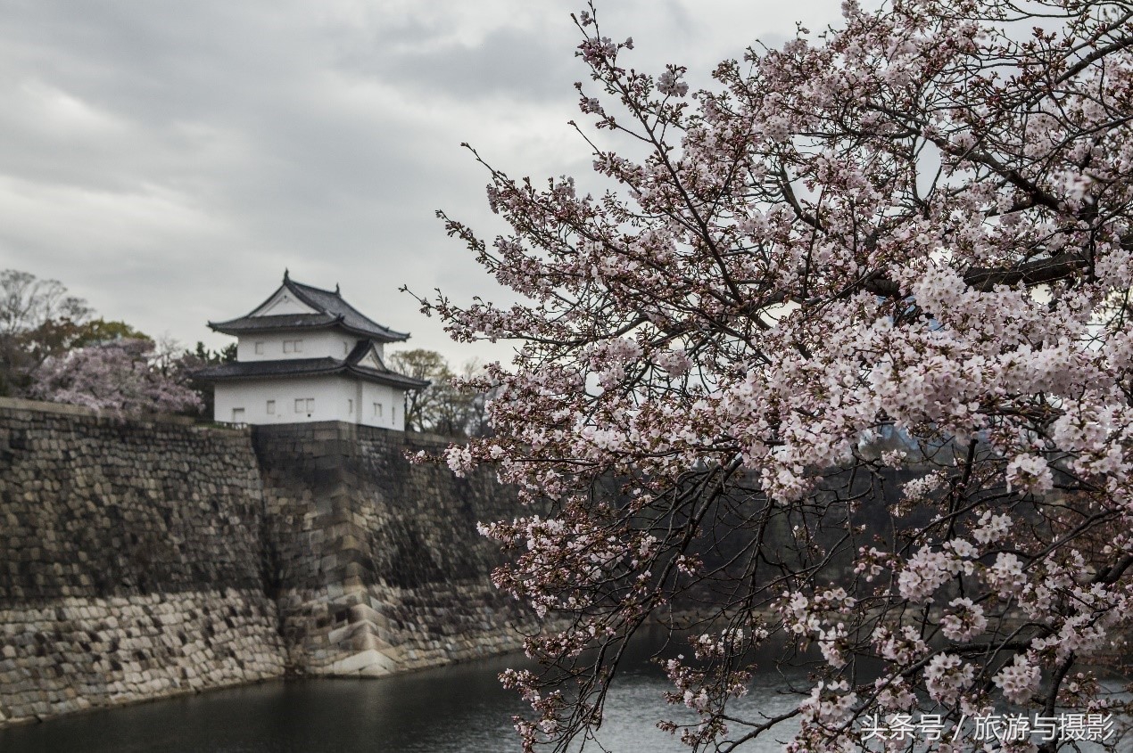 游览大阪城,走马观城完整版