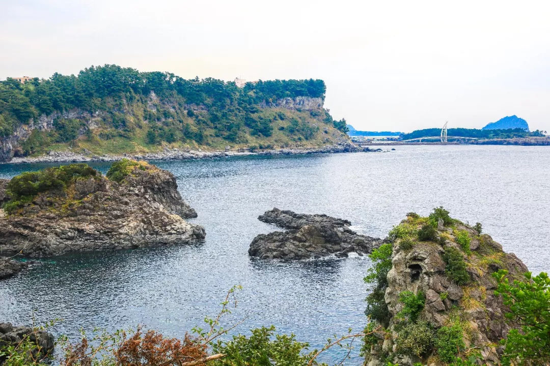 去济州岛可以买些什么回来,济州岛玩乐全攻略