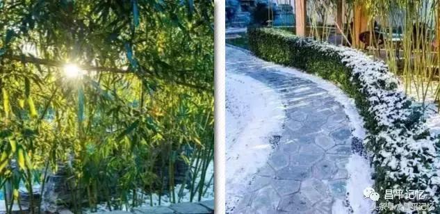 昌平小汤山热带雨林温泉必带清单,北京昌平温泉度假村温泉排名榜