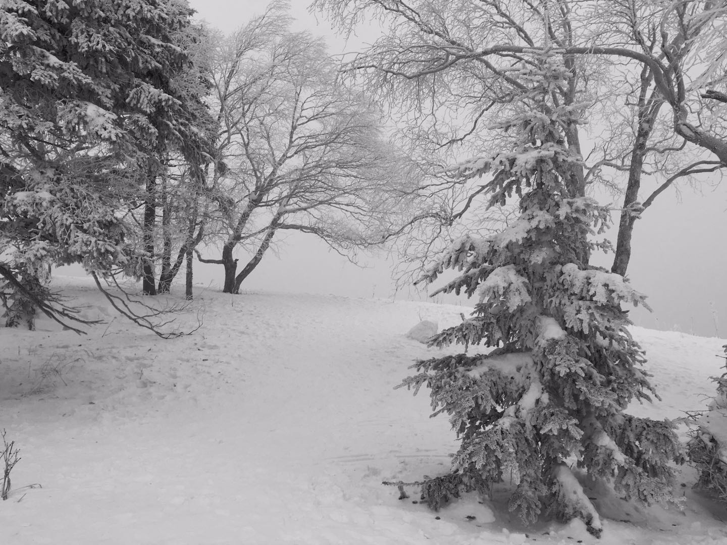 辽宁朝阳凤凰山传说,大凤凰山在哪里