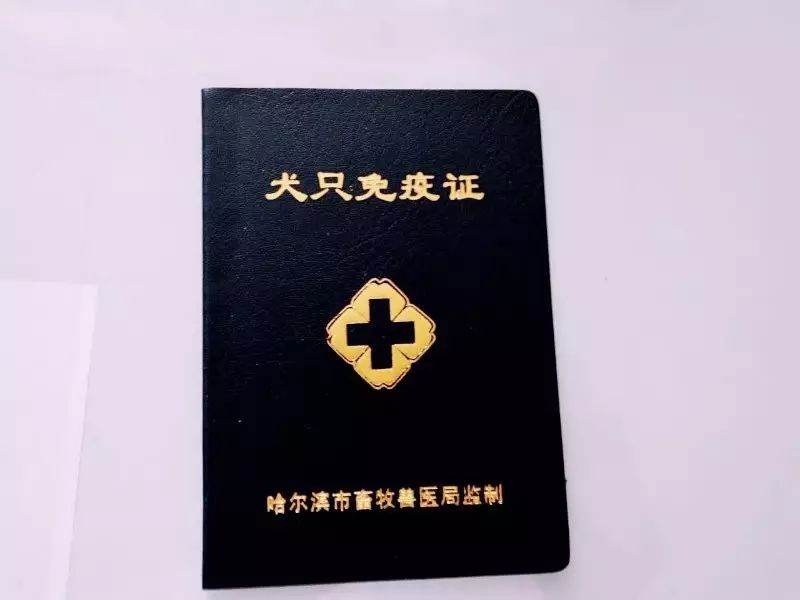 这些东西统统不！要！钱！哈尔滨人可以省一笔钱！