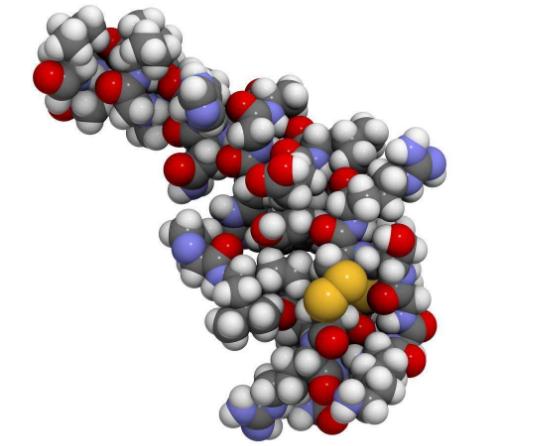 生命的左和右,生命的每一个方向