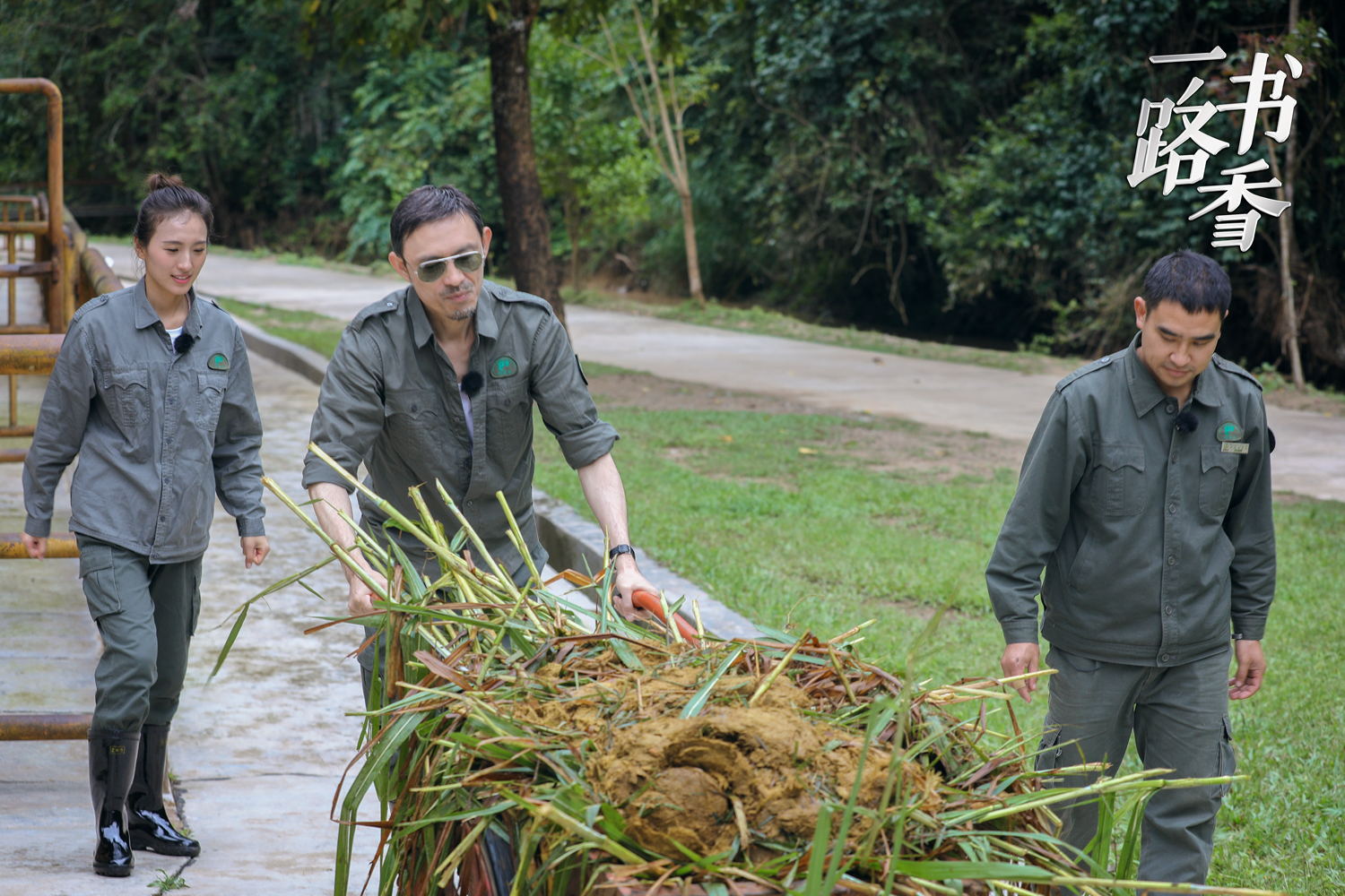 许戈辉访谈窦文涛早期,马未都窦文涛三人行完整版