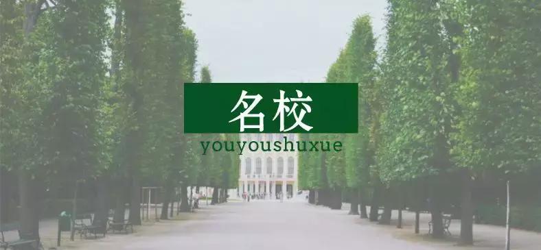 南京小升初择校十大误区,小升初常见择校误区西安