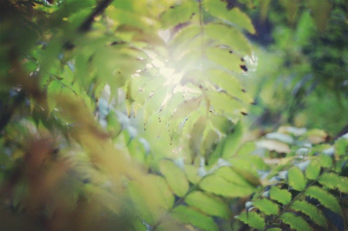 2019会计热门新闻,2017近期会计热门新闻