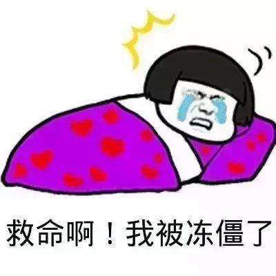 手机冻得自动关机怎么办,手机冻关机打不开怎么办