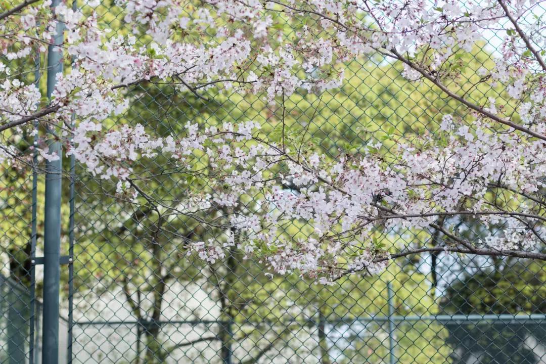 如果今年你还在常州，你会感慨自己没离开这座城市！