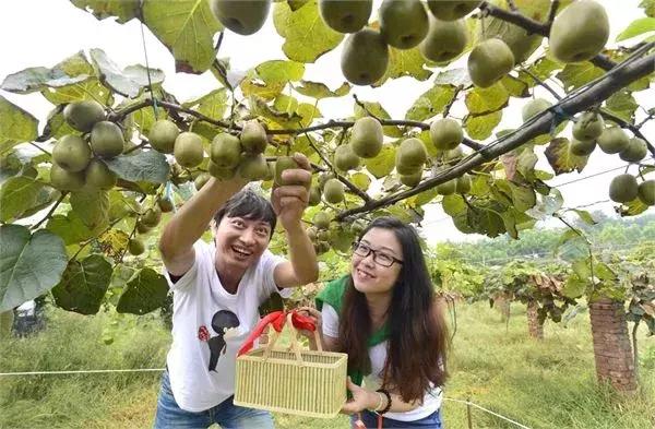 浙江采摘瓜果亲子游方案,金华采摘游最强攻略