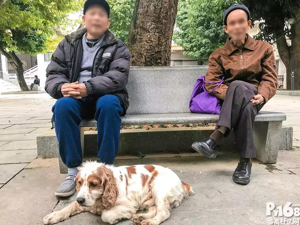 市桥光明南路,曾经的这条街已没有往昔的模样