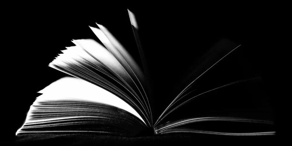 苏枕书,苏枕书小说作品集