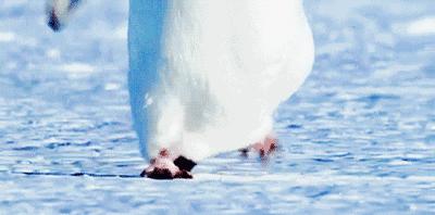 雪天走路不滑的技巧,下雪天穿什么鞋不摔倒