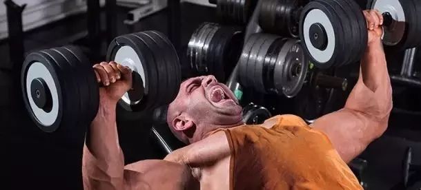 增肌不增脂的增肌粉,增肌不增脂