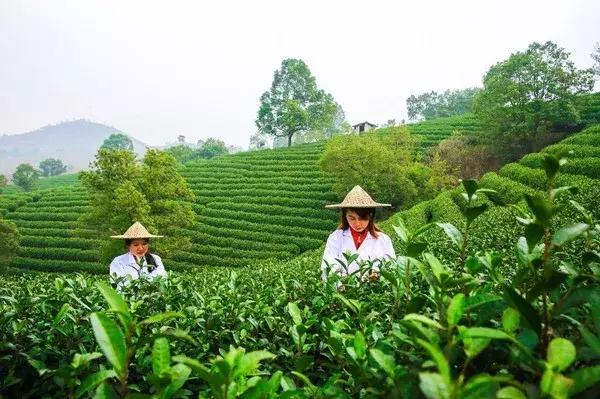 溧阳，江南私藏的秘境小城！