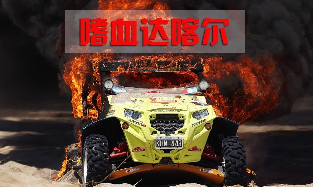 艰难的达喀尔拉力赛,达喀尔拉力赛凯旋