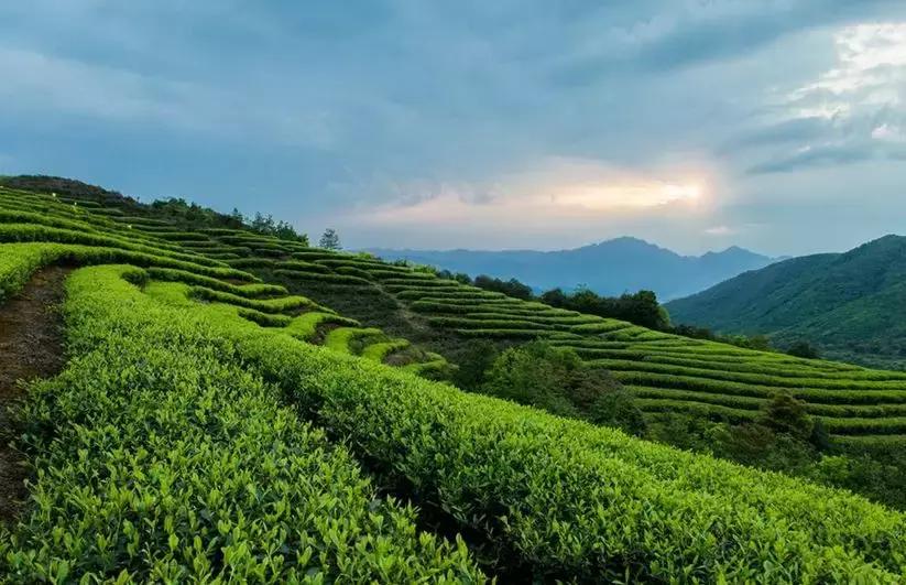 溧阳，江南私藏的秘境小城！