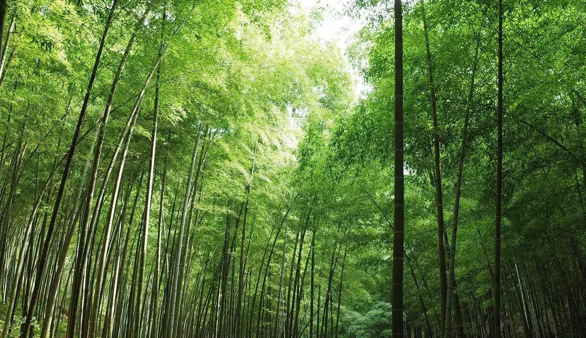 溧阳，江南私藏的秘境小城！