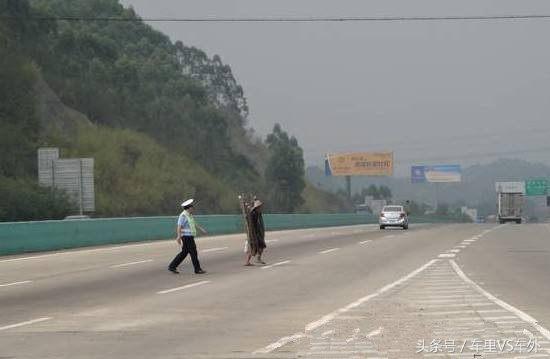 开车正常行驶撞死人了会什么后果,汽车在公路上撞死狗要赔钱吗