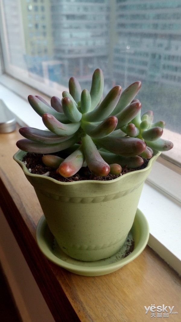 3000元以内的512g手机测评,千元512大内存手机推荐