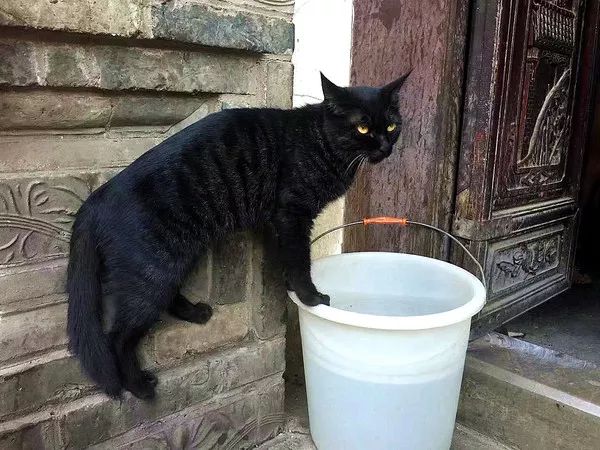 建水这个城市好吗,建水古城一座诗意满满的千年古城