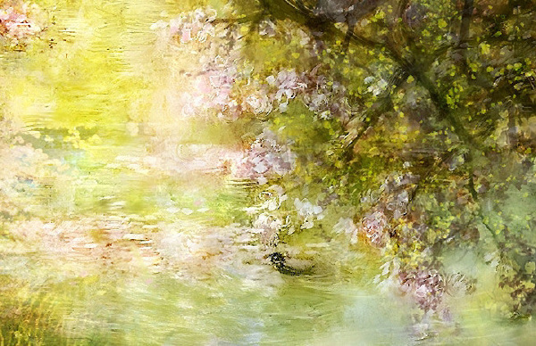 花开花落云卷云舒视频,花开花落云卷云舒什么意思