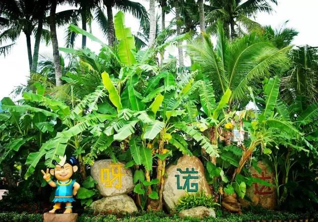 500元坐火车直达三亚！5月15日起本溪人去海南多了新选择！约起走吧！