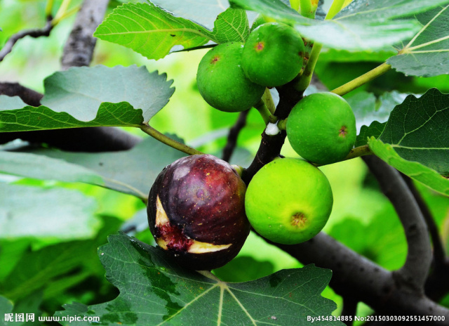 皮肤干燥口干舌燥缺什么维生素,干燥症口干吃什么药效果好