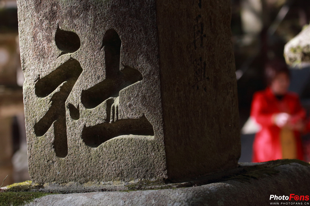 春之物语佳能EF70-300mmf4.0-5.6ISUSM日本猎影