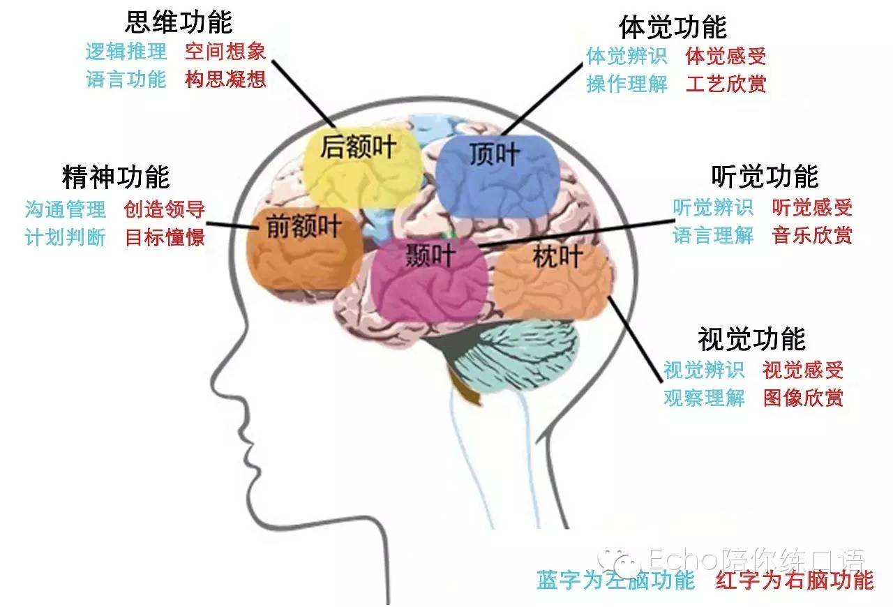 听力诊所|No.31没有味觉，也可以有酸甜苦辣!
