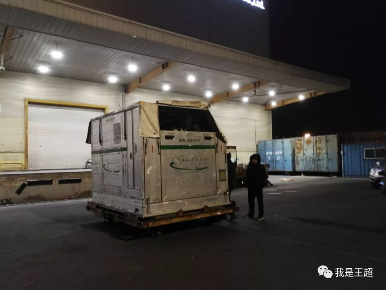 「多图」听说张总买的一飞机爱尔兰纯血马到首都机场了，我们去看了看